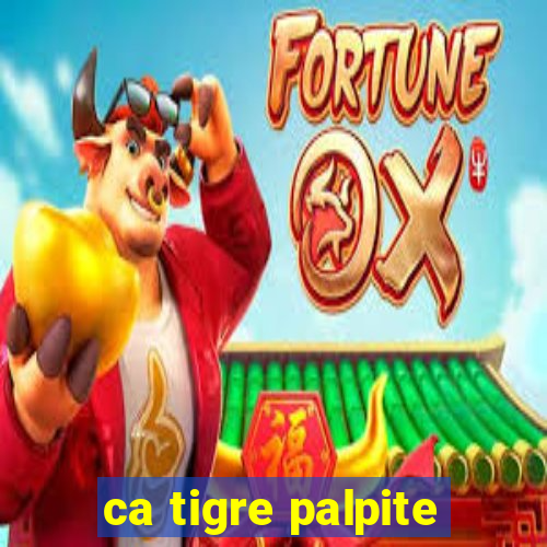 ca tigre palpite